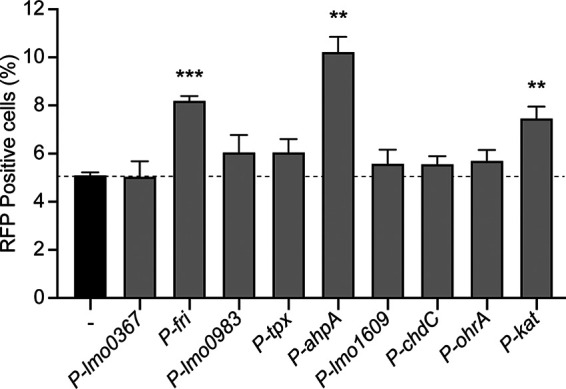 FIG 2