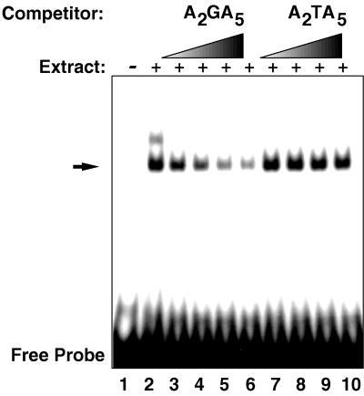 FIG. 4