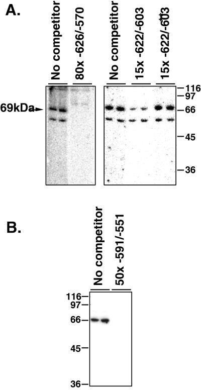 FIG. 5