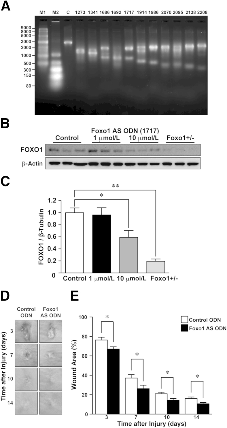 Figure 5