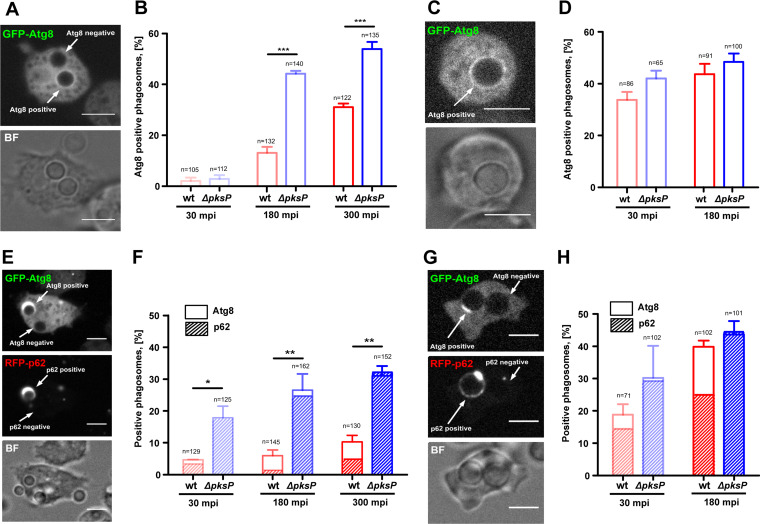 FIG 8