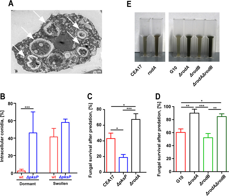 FIG 1