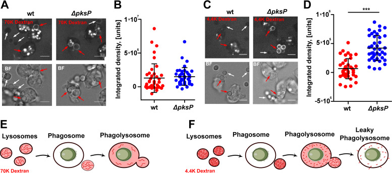 FIG 6