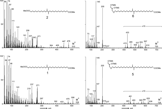 Fig. 3
