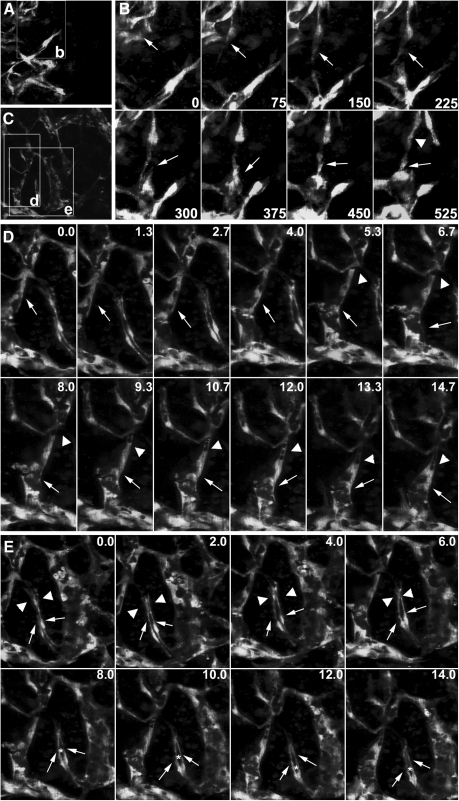 FIG. 8.