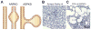 Figure 15