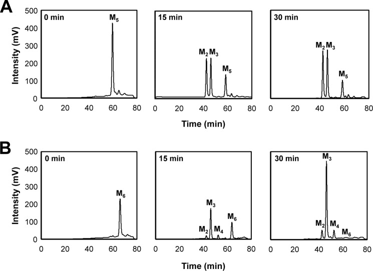 FIGURE 10.