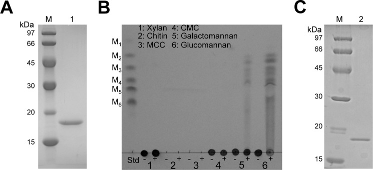 FIGURE 4.