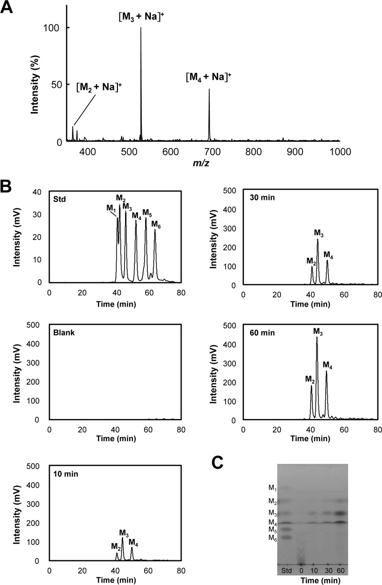 FIGURE 5.