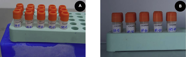 Figure 5