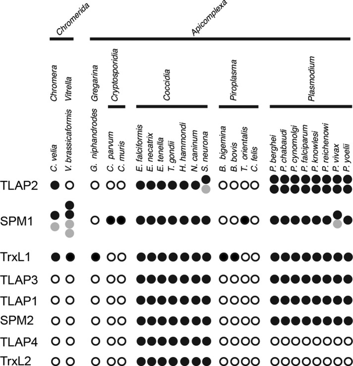 FIGURE 11: