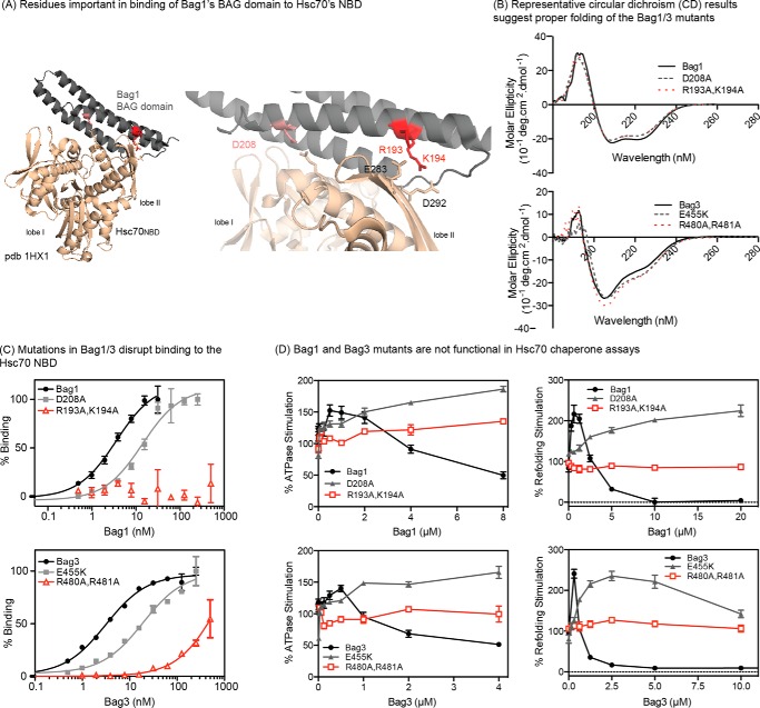 FIGURE 2.