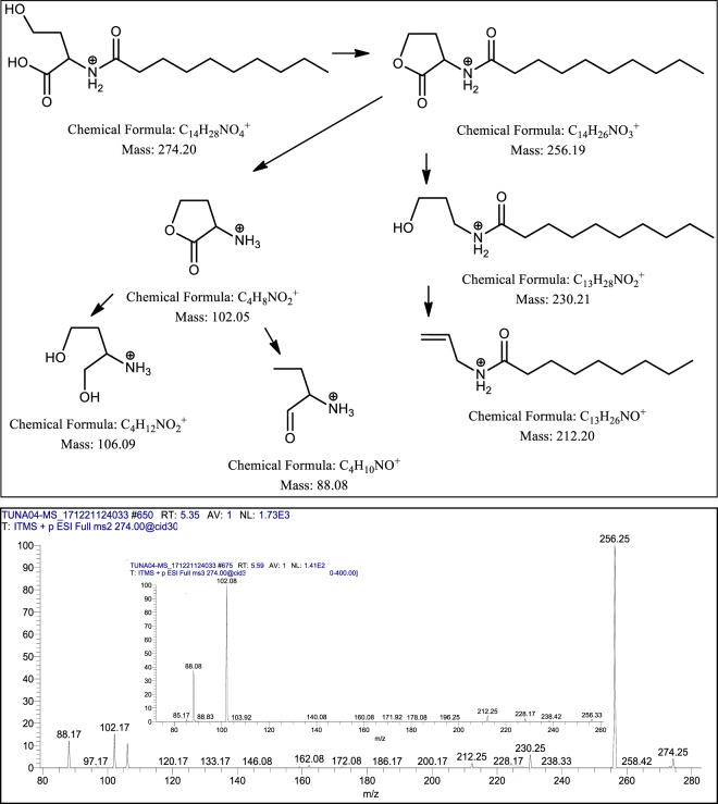 Figure 9