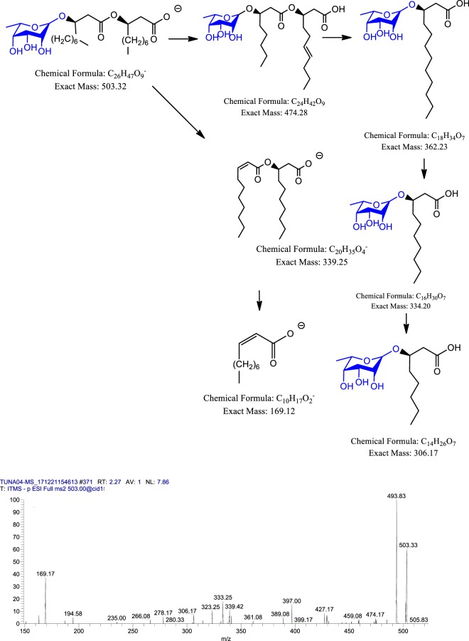 Figure 12