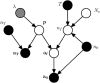 F<sc>igure</sc> 1.—