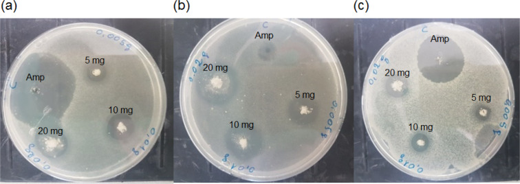 Figure 13
