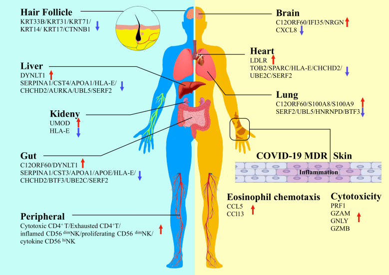 Figure 1