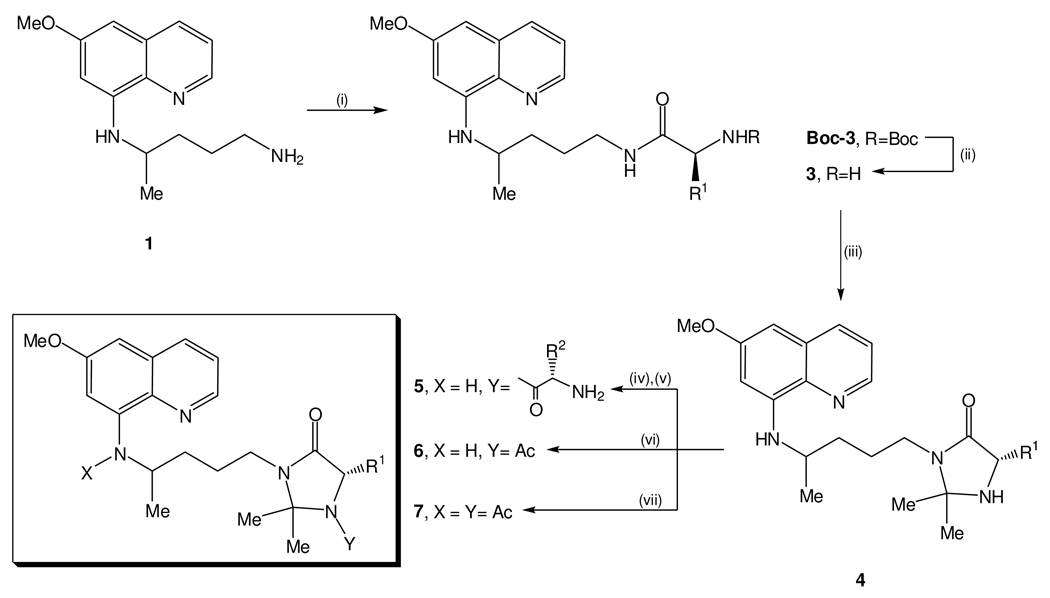 Scheme 2