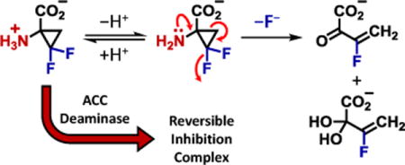 graphic file with name nihms814609u1.jpg