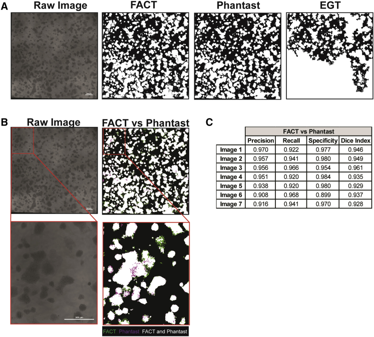 Figure 4