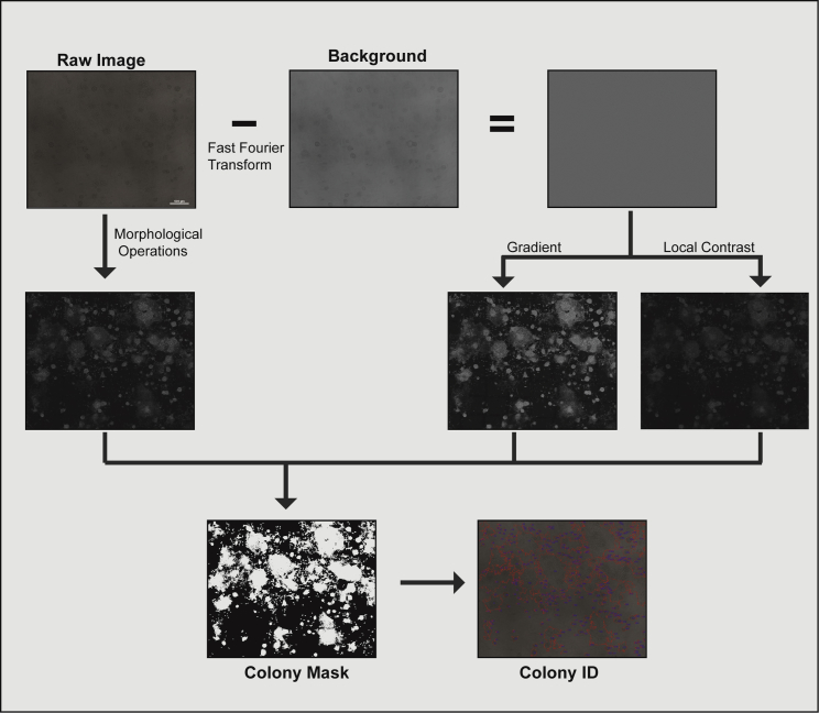 Figure 3