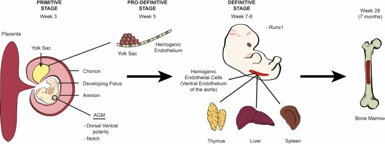 FIG 1