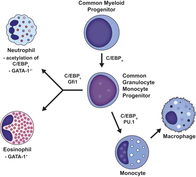 FIG 2