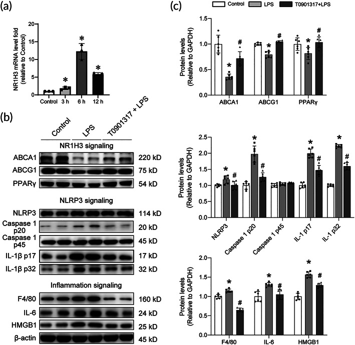 FIGURE 6