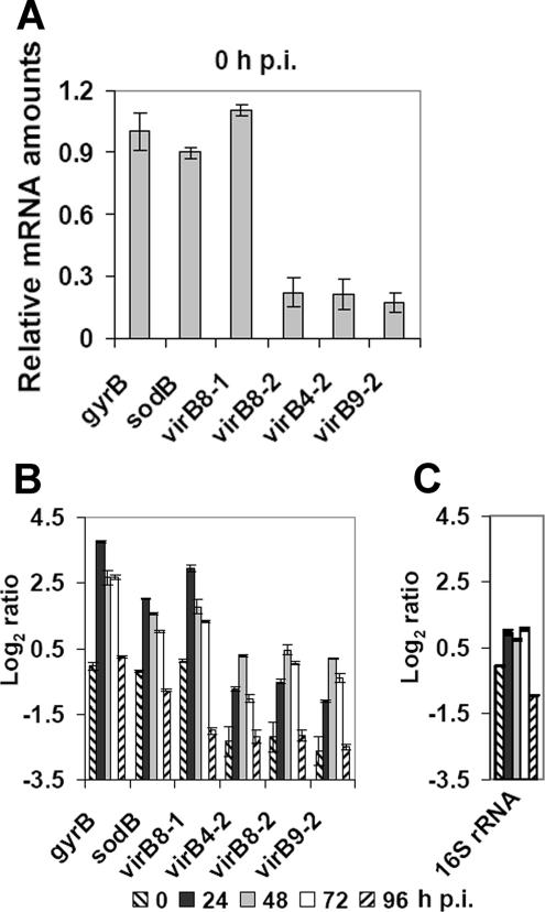 FIG. 3.