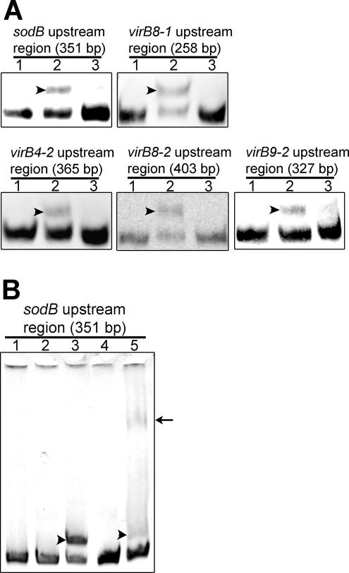 FIG. 6.