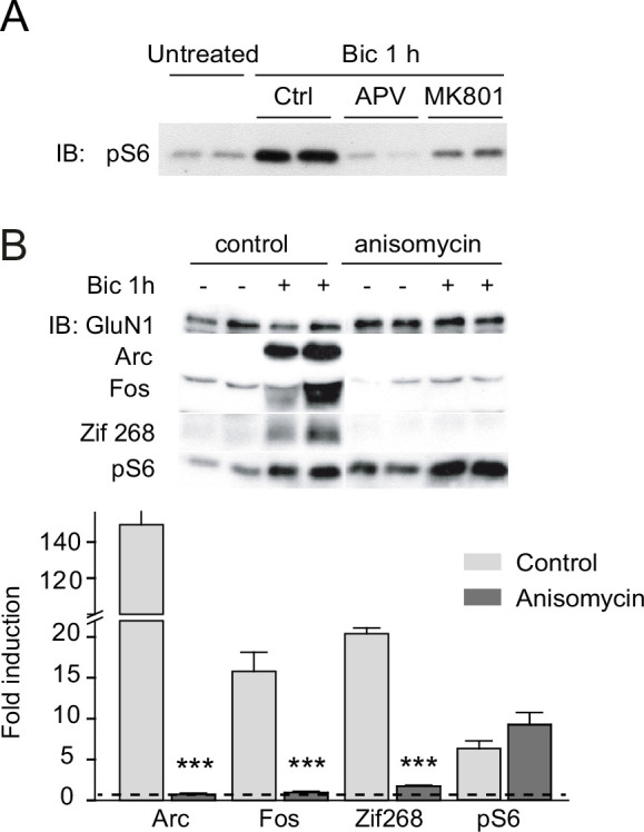 Figure 2—figure supplement 1.