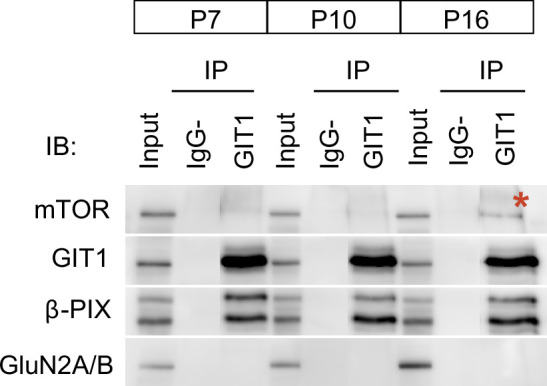 Figure 6—figure supplement 1.