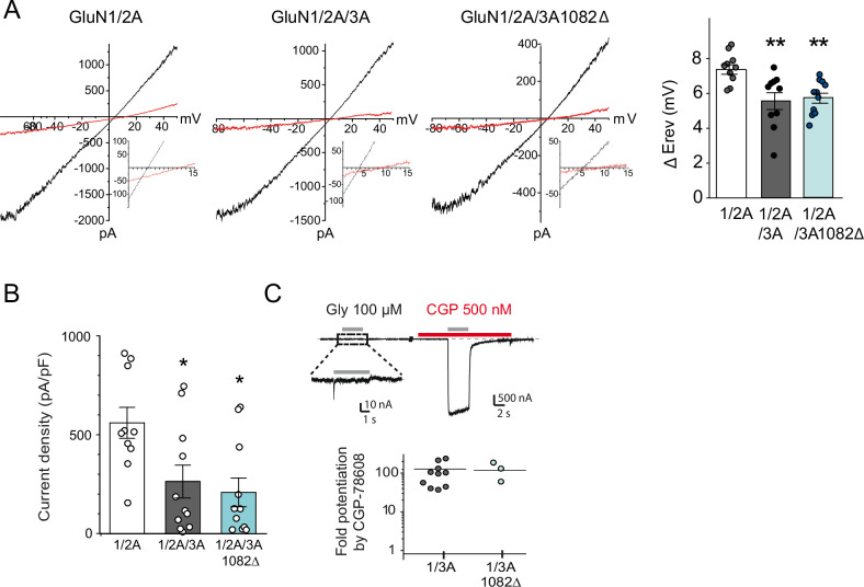 Figure 4—figure supplement 1.