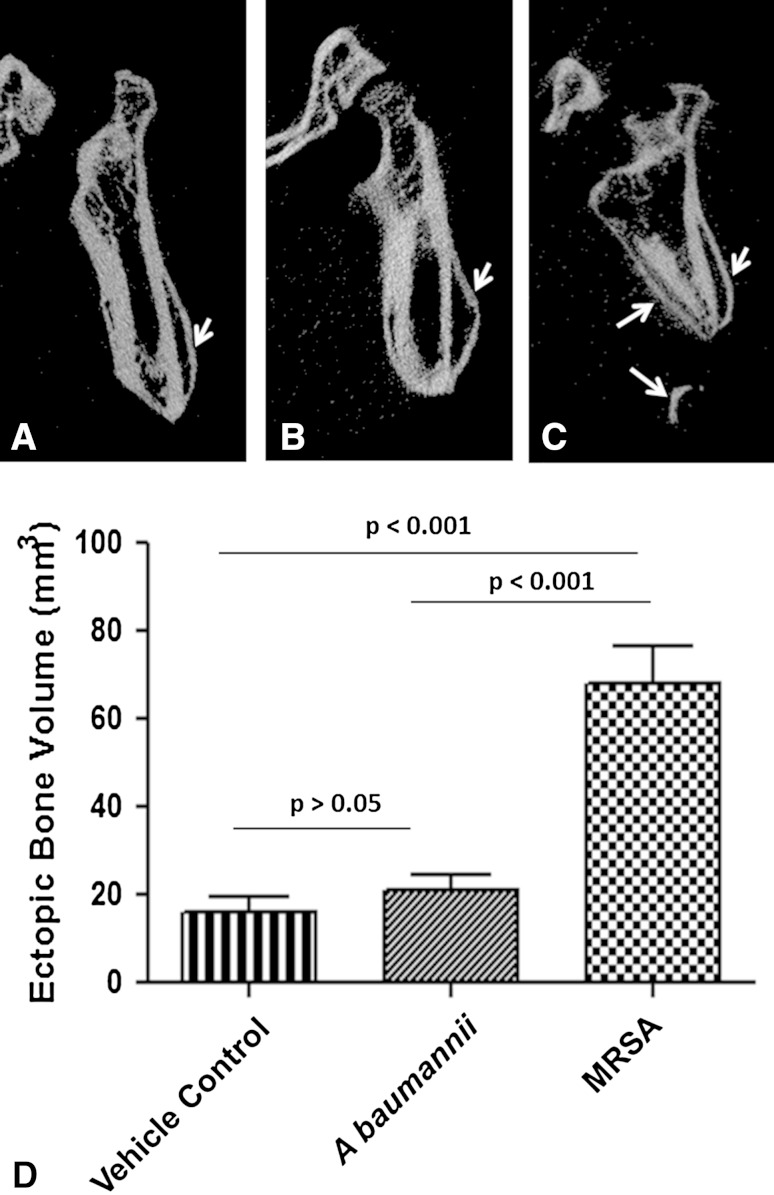 Fig. 2A–D