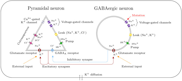 Fig 1