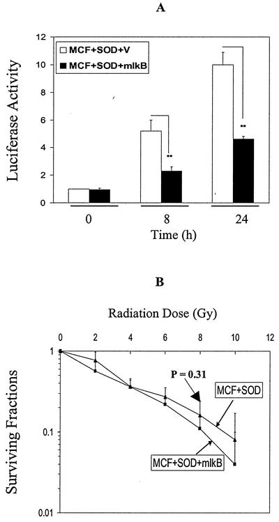 FIG. 9.