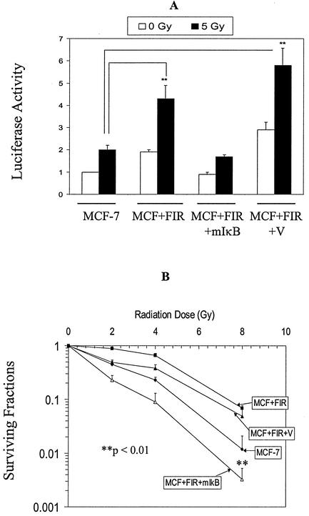 FIG. 7.