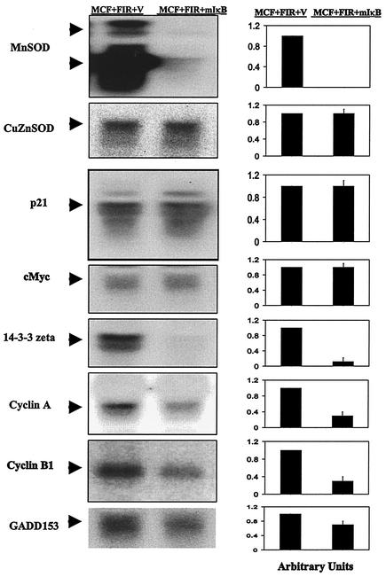 FIG. 8.