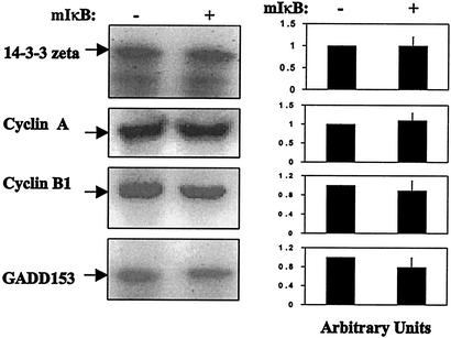 FIG. 10.