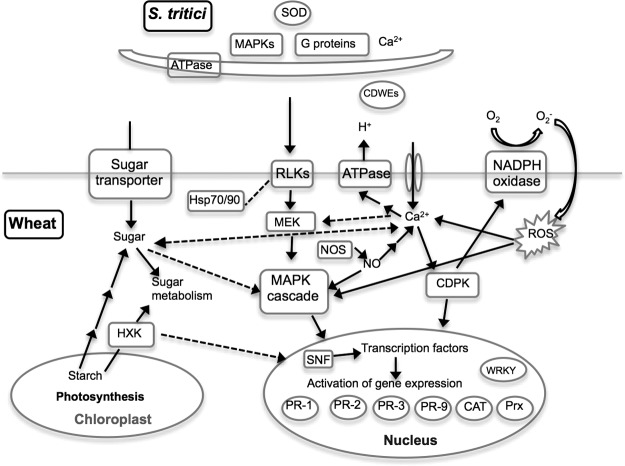 Fig. 4.