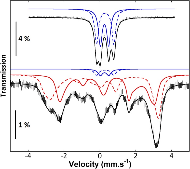 Fig. 1