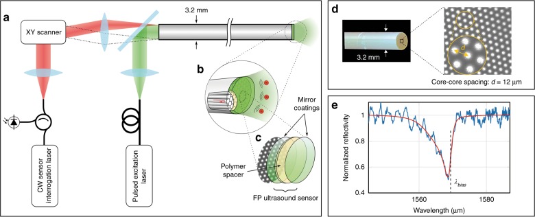 Fig. 1