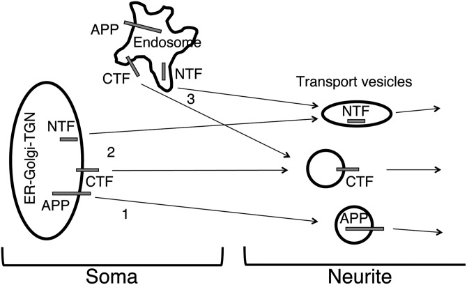 Figure 7.