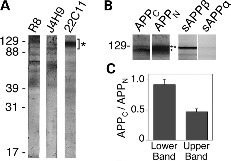 Figure 2.