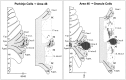 Figure 11.