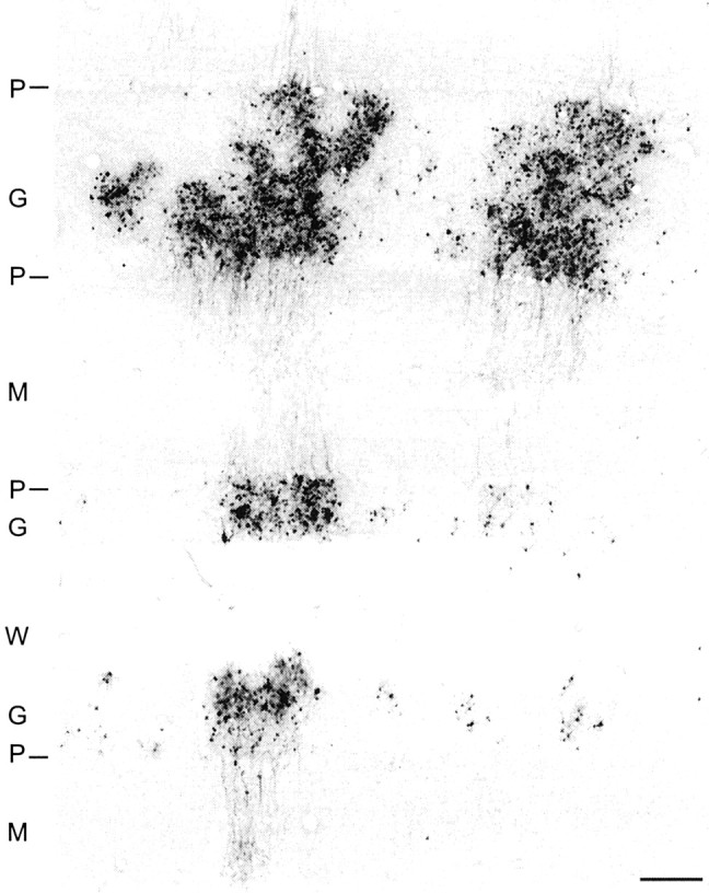 Figure 13.