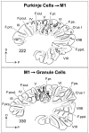 Figure 10.