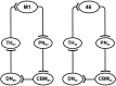 Figure 14.