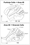 Figure 12.