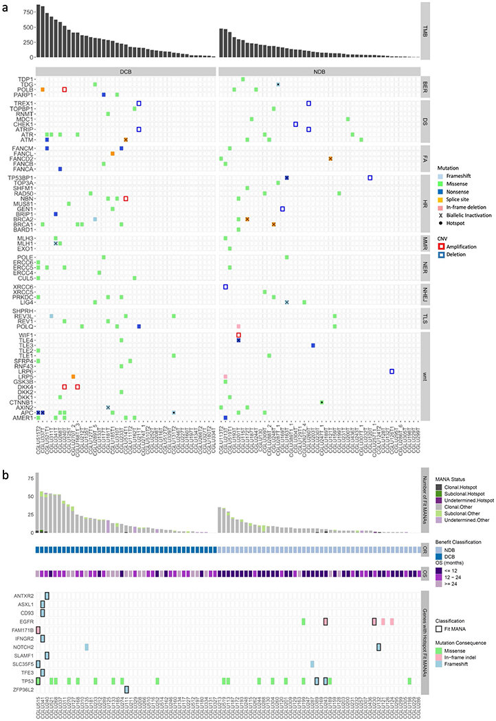 Extended Data Fig. 7 |